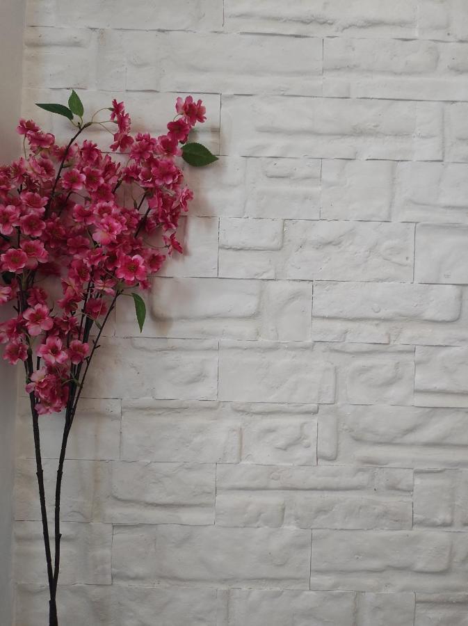 Aurora Nest Apartment ไกออส ภายนอก รูปภาพ